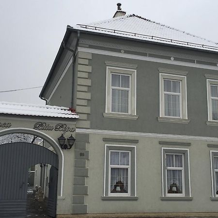 Pensiunea Puiu Popa Codlea Exterior foto