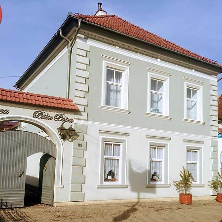 Pensiunea Puiu Popa Codlea Exterior foto