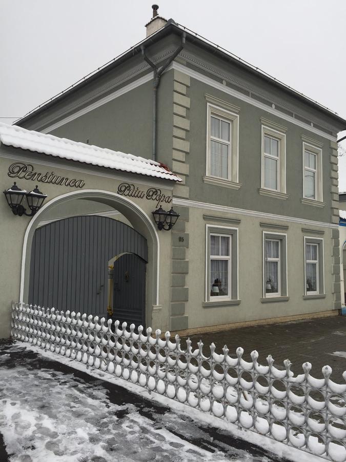 Pensiunea Puiu Popa Codlea Exterior foto
