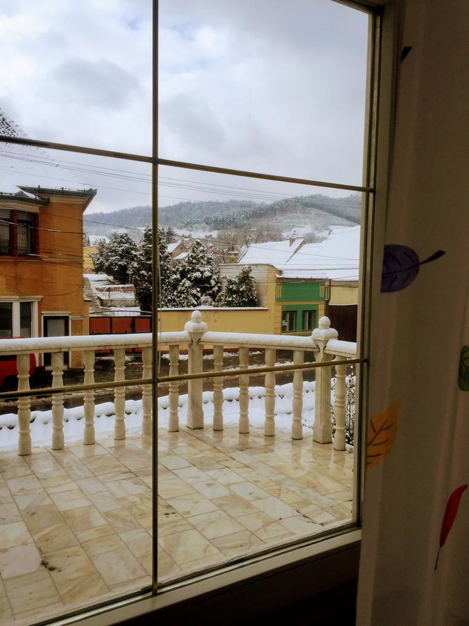 Pensiunea Puiu Popa Codlea Exterior foto