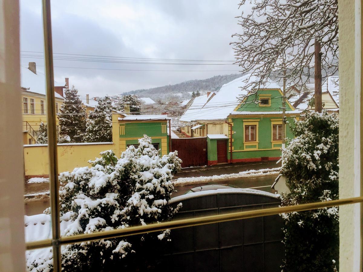 Pensiunea Puiu Popa Codlea Exterior foto