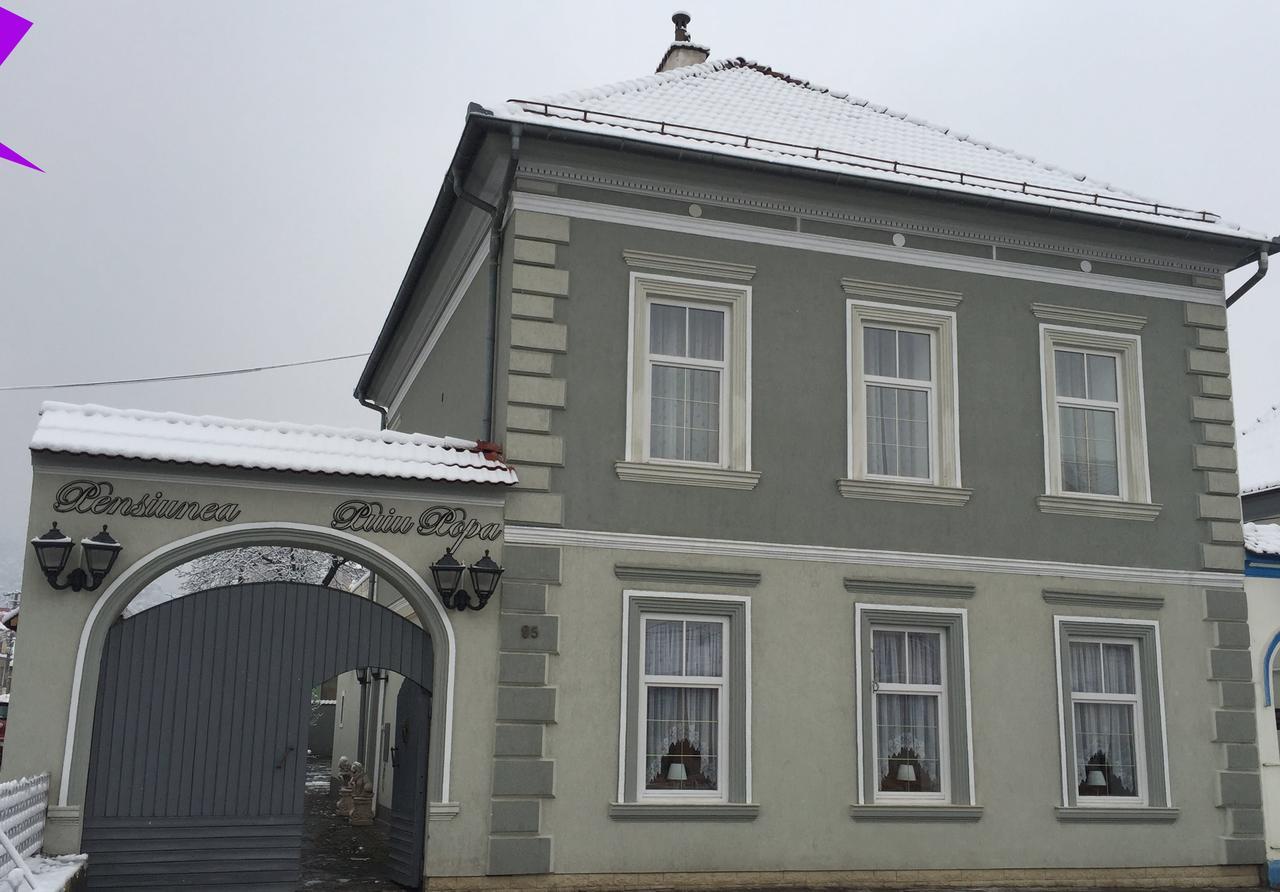 Pensiunea Puiu Popa Codlea Exterior foto