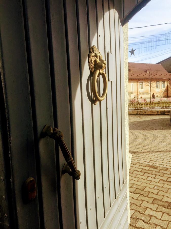 Pensiunea Puiu Popa Codlea Exterior foto